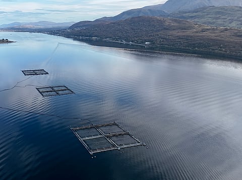 Mowi's Gorsten salmon farm in Upper Loch Linnhe, Scotland. 