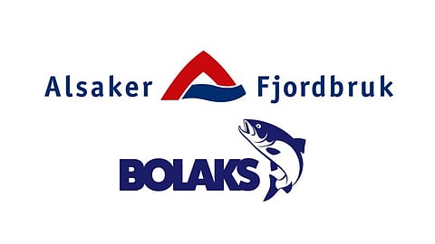 Alsaker Fjordbruk and Bolaks company logos.