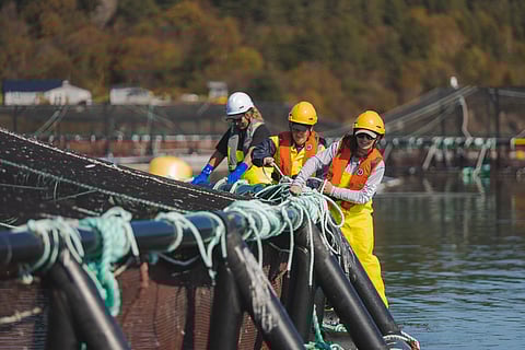 Three people working in an aquaculture open net cage.