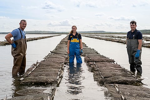 Pictured left to right: Micheál Sugrue, Sharon Sugrue and Emmet Casey, of mussel and oyster farming company Réalt na Mara Shellfish.