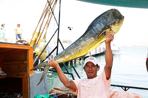 A Peruvian fisherman shows off a freshly caught mahi-mahi. 
