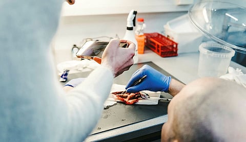 Autopsy of fish from a previous experiment in the SpiroFri project.