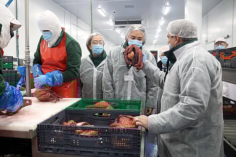 María González Corral, Minister of Agriculture, Livestock, and Rural Development of Castilla y León's visit to the MerPacífico facility. 