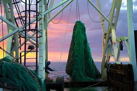 This initiative aims to combat illegal, unreported, and unregulated (IUU) fishing.