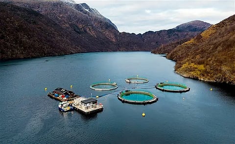 Aerial view of Mowi's closed containment sea facilities at&nbsp;Slåttenes in Vestland.