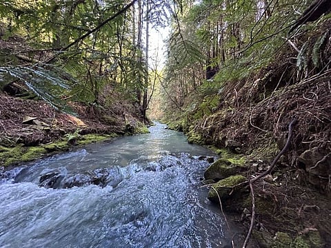 Chamberlain Creek Instream Habitat Enhancement Project.