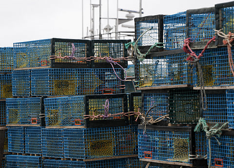 Lobster pots stacked on a dock in Nova Scotia.
