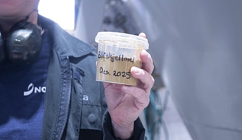 Norwegian blue mussel powder.