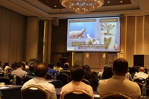 SustainED kick-off session 2026.