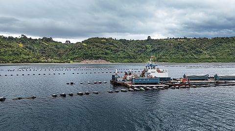 Mussel farm / Camanchaca Cultivos Sur. 