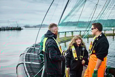 Mattilsynet is responsible for oversight of fish health and biosafety in Norway's aquaculture sector.