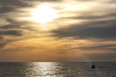 This project is co-financed by the European Union through the EMFAF (European Maritime, Fisheries and Aquaculture Fund)