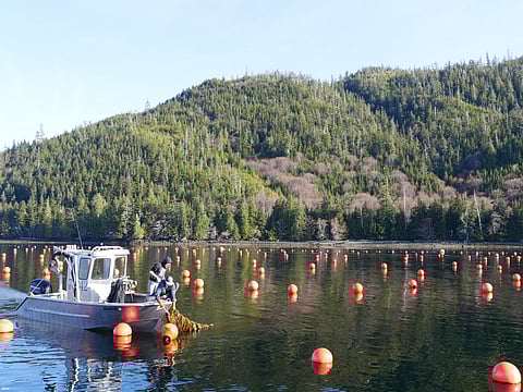 Aquaculture Opportunity Areas in  Alaska