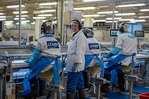 A group of workers in a Lerøy Seafood Group's processing facility in Melbu, Vesterålen, Norway.