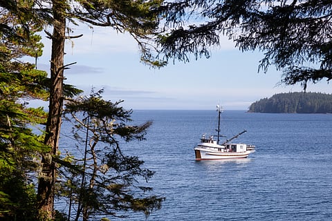 Fishing Boat parked in the ocean during a vibrant sunny summer day. Taken in Port Hardy, Northern Vancouver Island, BC, Canada.