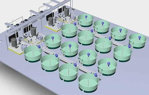 The expansion of the facility will significantly increase hatchery capacity, with the potential to produce up to 20 tonnes of trout per year.