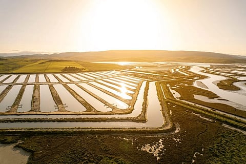 Lubimar's farm in Barbate, Cadiz, Andalusia, Spain.