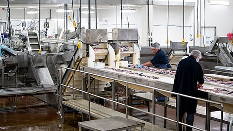 Comeau's Sea Foods processing plant.