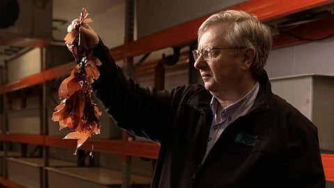 “The potential is enormous – and we’re only starting to tap into it,” said Michael O’Neill, founder of Pure Ocean Algae.