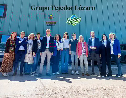Grupo Tejedor Lázaro is the parent business group (holding company).