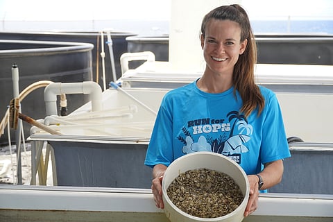 Pacific Hybreed CEO Melissa DellaTorre.