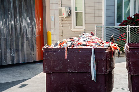 Large bin overflowing with discarded salmon fish waste and scraps outdoors.