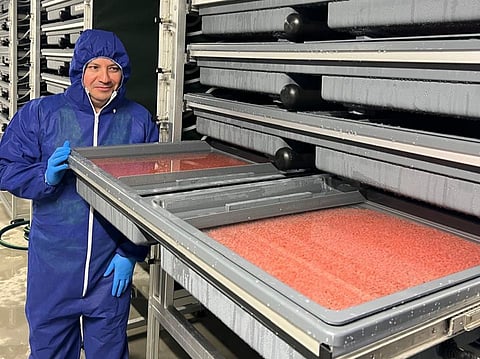 Egg transfer at Hatchery 1 of Pure Salmon Japan in May 2026.