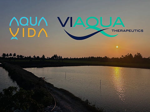 AquaVida works in India, providing support to rural producers.