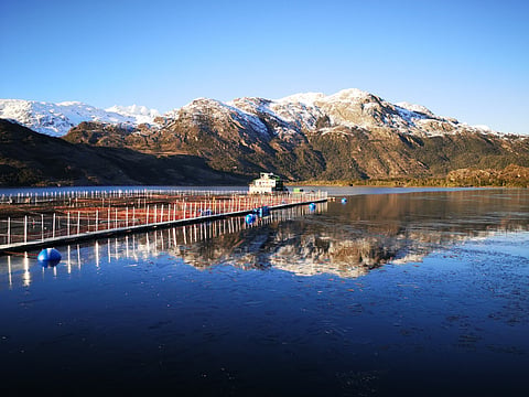 Fish farm in Chile.
