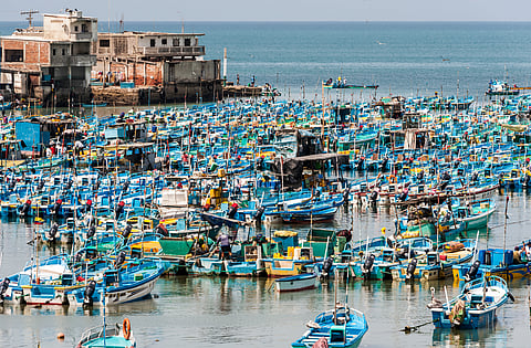 Fishing boats in Salinas, Ecuador