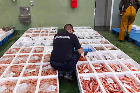 Today marks the International Day for the Fight against Illegal, Unreported and Unregulated (IUU) Fishing.