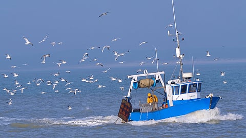 Panoramique Bateau de pêche et mouettes, Somme en Hauts-de-France, France