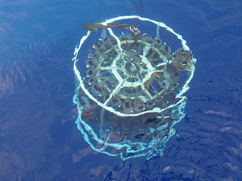 The oceanographic rosette and CTD are scientific instruments installed on board and used to collect water samples and measure the physical and chemical properties of seawater.