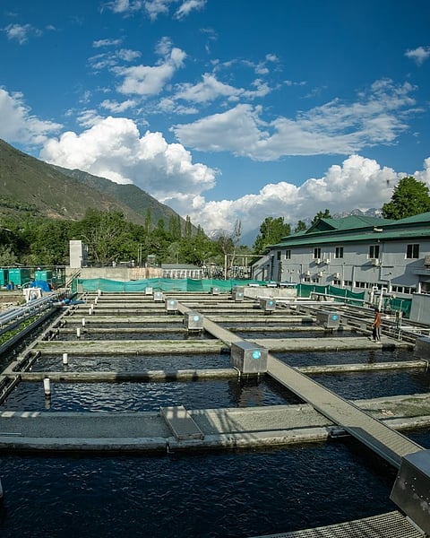The project represents an investment of approximately US$120 million.