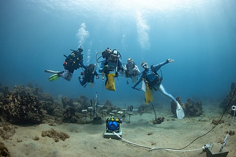 The $25 million donation will establish the Schiller Center for Reef Solutions, supporting long-term coral reef research, innovation, and global collaborations to help protect reefs for future generations.