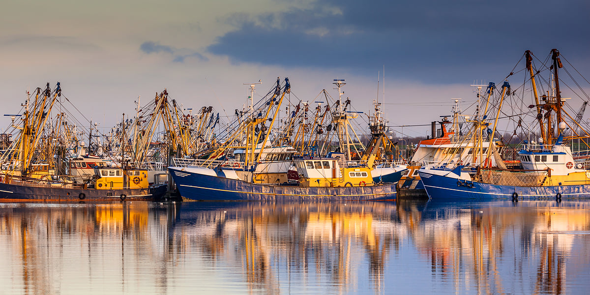 Europe's protein strategy cannot be complete without aquatic foods, says EUSeA