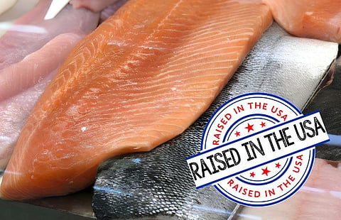 Festival Foods became the first retailer in the United States to offer domestically raised Atlantic salmon.