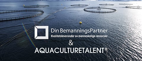 Din Bemannings Partner (DBP) and AquacultureTalent a Story of Success in Recruitment and Staffing