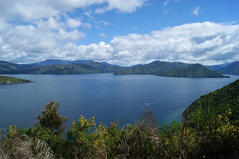 Marlborough Sounds, Cook Strait, New Zealand, where New Zealand King Salmon aims to open its Blue Endeavour offshore project. Photo: Adobe Stock. 