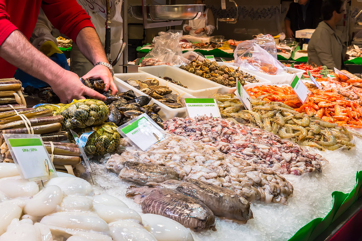 Prices up, consumption down: EU fish market report reveals impact of ...