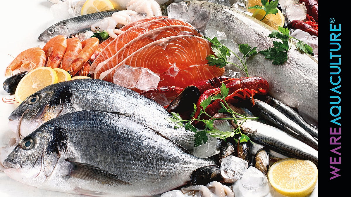 Discover the Freshest Seafood News from Top Industry Sources - Stay ...