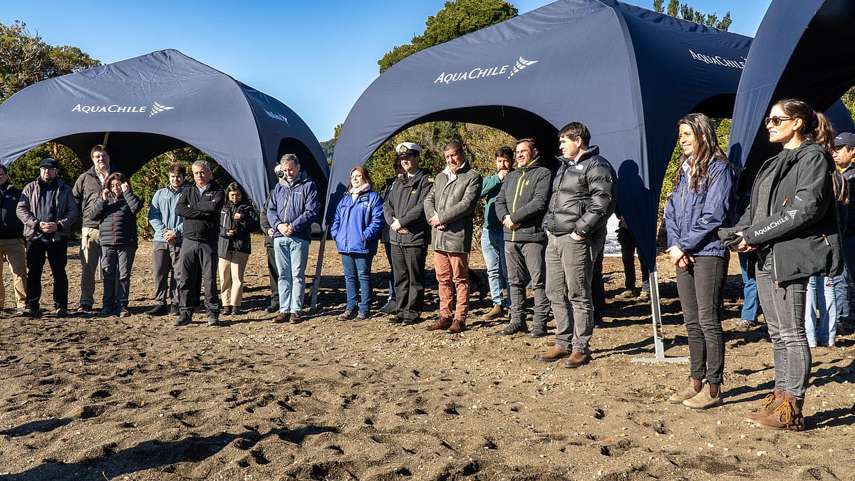 AquaChile launches online water-quality monitoring system for Lake ...