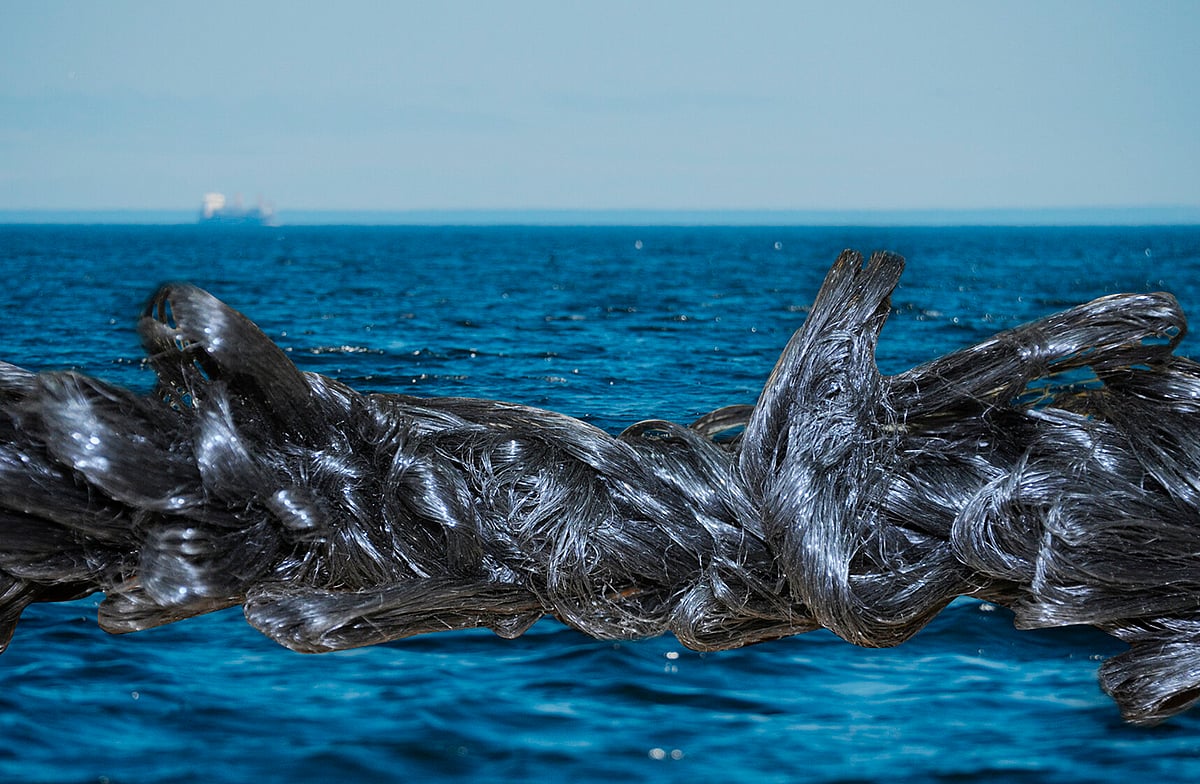 Garware's new ropes facilitate the growth of the mussel - WeAreAquaculture