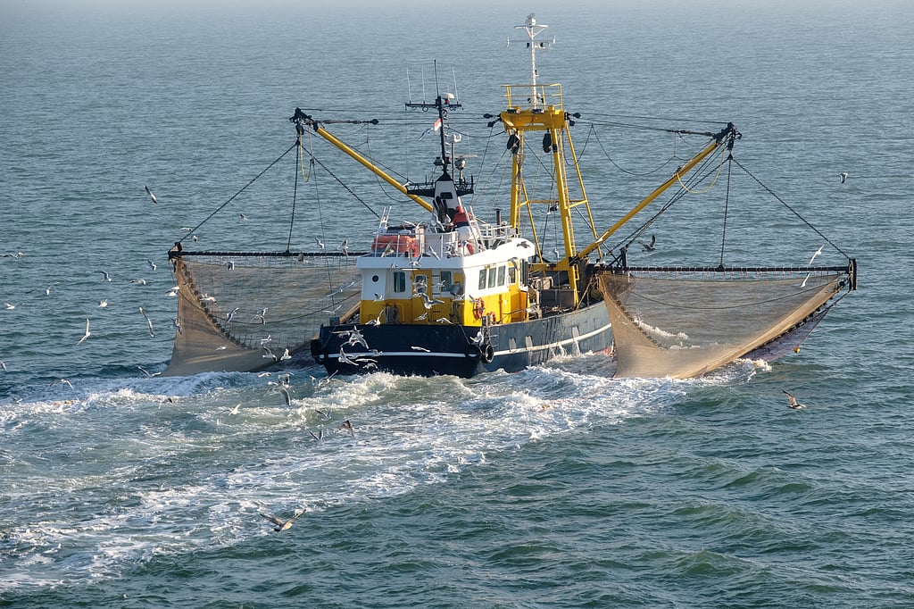 EU ratifies the harmful impact of bottom trawling in Marine Protected ...