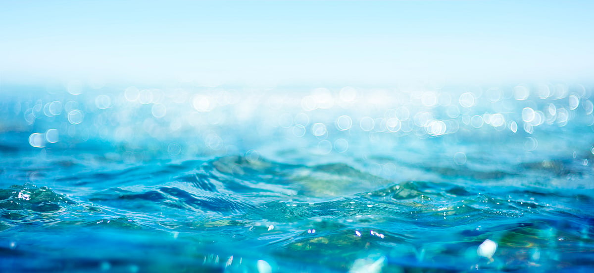 Blue economy moves beyond "niche" status in investment market, says EU ...