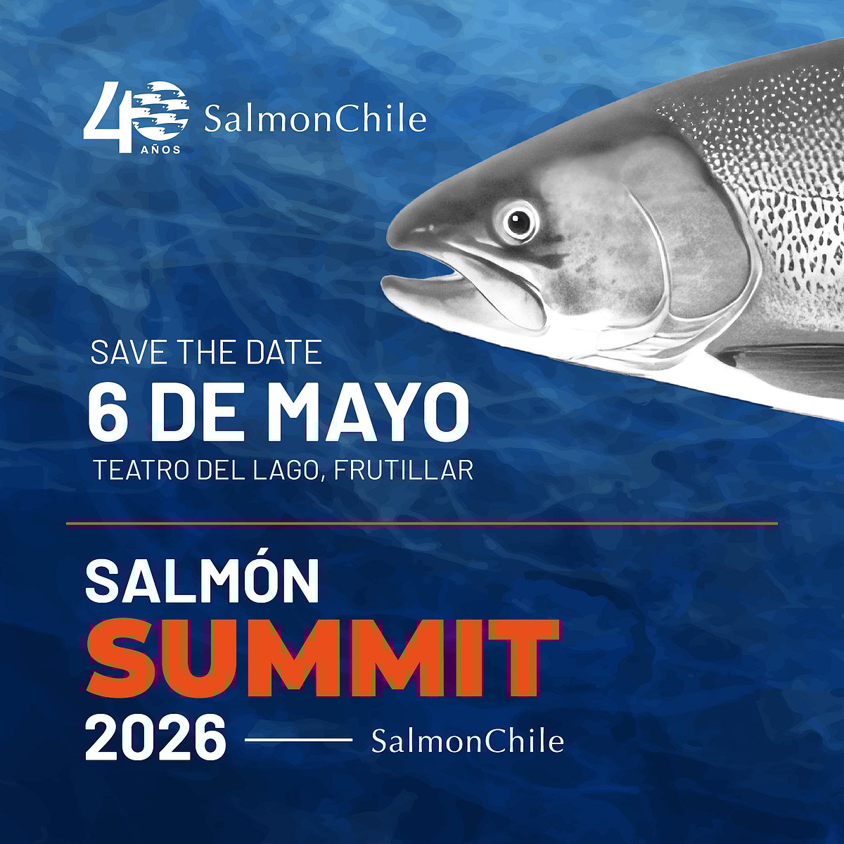 Chile's 'Salmon Summit 2026' to be held in May