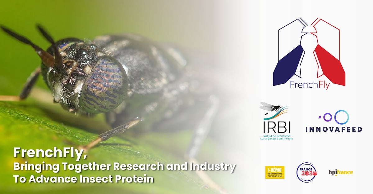 Innovafeed partners with research institute to strengthen the insect ...