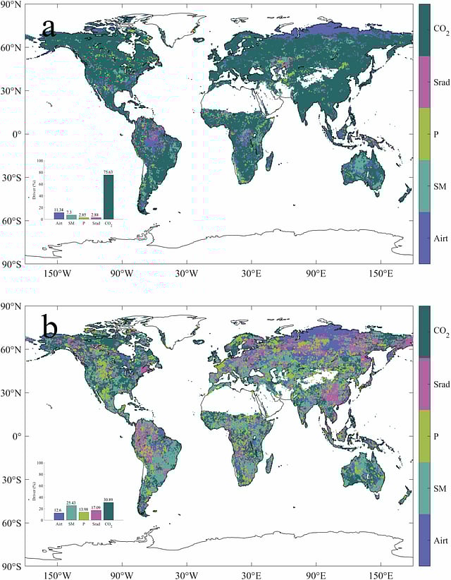 CO2 is the dominant driver of LAI trend (a) and growth rate trend (b) compared to other factors
