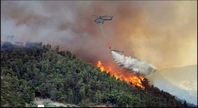 EXCLUSIVE: Alberta company with &lsquo;silver bullet&rsquo; tech sat on sidelines while Jasper burned over contract dispute