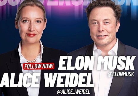 Alice Weidle and Elon Musk 